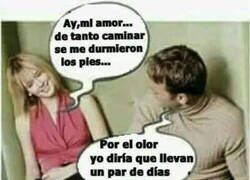 Enlace a Dormidos para siempre