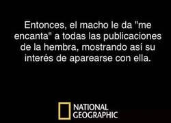 Enlace a Digno de documental