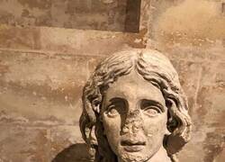 Enlace a ¡Tengo tu nariz!