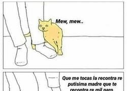 Enlace a Simplemente gatos