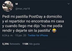 Enlace a Igual el feto