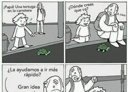 Enlace a Sin saberlo, arruinaron la vida de esa tortuga