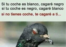 Enlace a Hagas lo que hagas, iré a por ti...