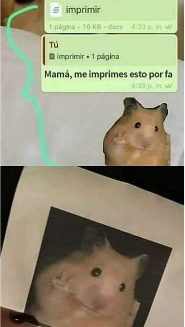 Meme_otros - No, mamá... El Sticker no...