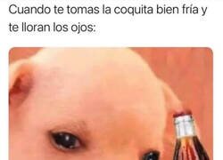 Enlace a El efecto cola