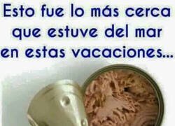 Enlace a Al menos es atún del bueno...