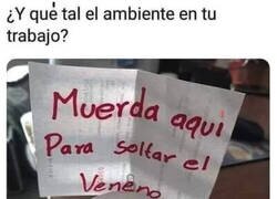 Enlace a Nos llevamos todos muy bien...