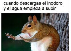 Enlace a No, no, no, para, para, para...