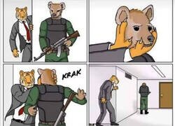 Enlace a Con los búhos no funciona