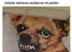 Enlace a Lo que se me da bien en esta vida