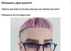 Enlace a El peinado estándar del ofendidismo