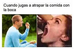 Enlace a ¿Quién no ha jugado alguna vez?