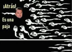 Enlace a Así nació DiCaprio