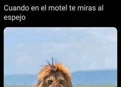 Enlace a Esta es la situación