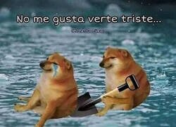 Enlace a No quiero tristeza a mi alrededor