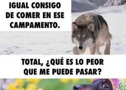 Enlace a La humillación a la que los sometimos