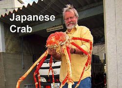 Enlace a Diferentes tipos de cangrejo