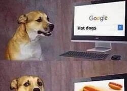 Enlace a El pobre solo quería su momento de intimidad...