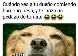 Enlace a Solo le dan lo que les sobra