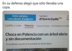 Enlace a La copa del árbol