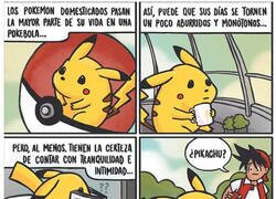 Enlace a PokéIntimidad