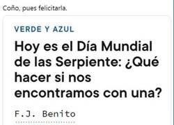 Enlace a El Día de las Serpientes