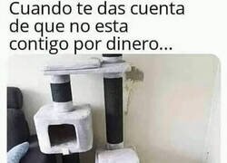 Enlace a El amor más incondicional que existe