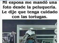 Enlace a Mi esposa se parece al malo de las Tortugas Ninja