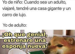 Enlace a La felicidad adulta está en las pequeñas cosas