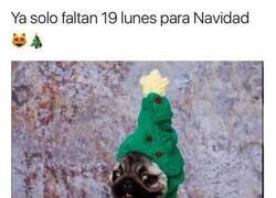 Enlace a Yo me voy preparando