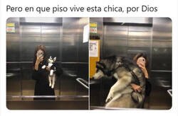 Enlace a ¿Tanto tarda en subir?