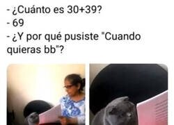 Enlace a No captó la indirecta