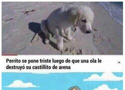 Enlace a ¡Maldito mar!