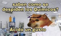 Enlace a La tontería del día