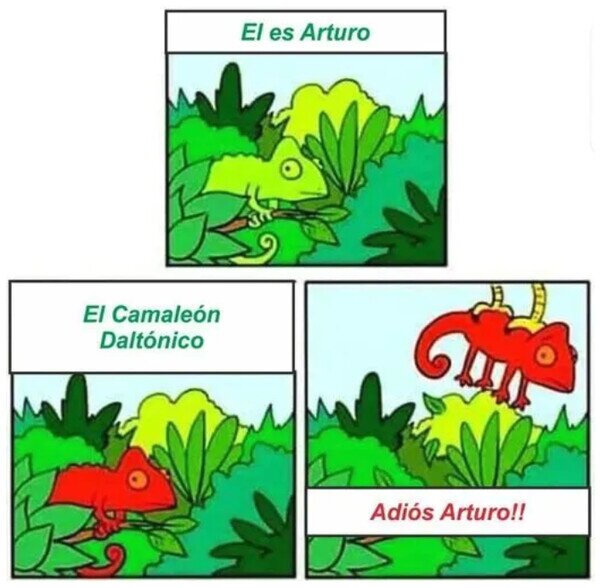 Meme_otros - La corta historia del camaleón Arturo