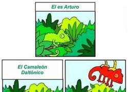 Enlace a La corta historia del camaleón Arturo