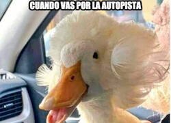 Enlace a Cuando vas por la autopista y bajas 10 segundos la ventanilla del coche