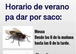 Enlace a Malditos bichos de verano