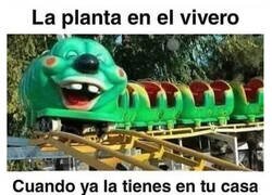 Enlace a Facilidad extrema para pudrirse