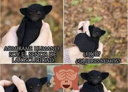 Enlace a El adorable señor de la oscuridad