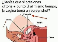 Enlace a Pequeños truquitos