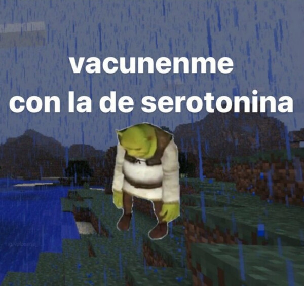 Meme_otros - Pobre Shrek