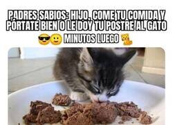 Enlace a La justicia favorece al gatito