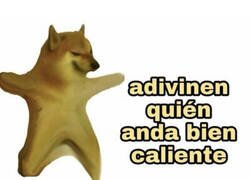 Enlace a Para qué provocas