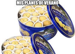 Enlace a El covid jodiendo el verano