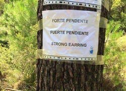 Enlace a Traducción via Google Translate