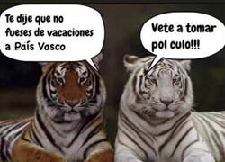 Enlace a Un verano nublado