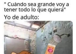 Enlace a Relleno el champú con agua