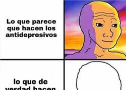 Enlace a Directamente te anulan