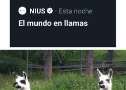 Enlace a La tontería del día